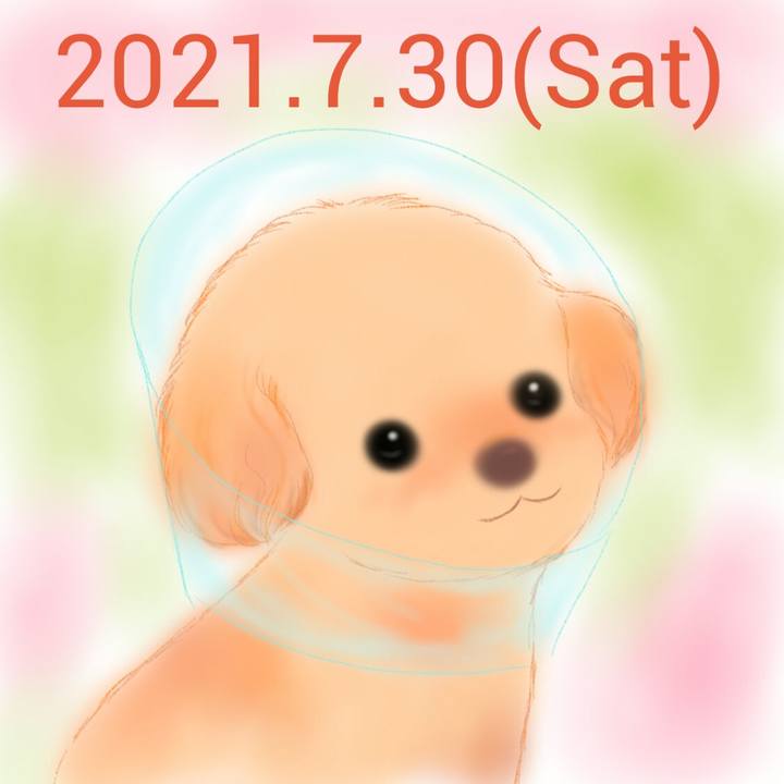 Dbc640b2 6044 4388 8310 efd741ebbe61 1627643661294