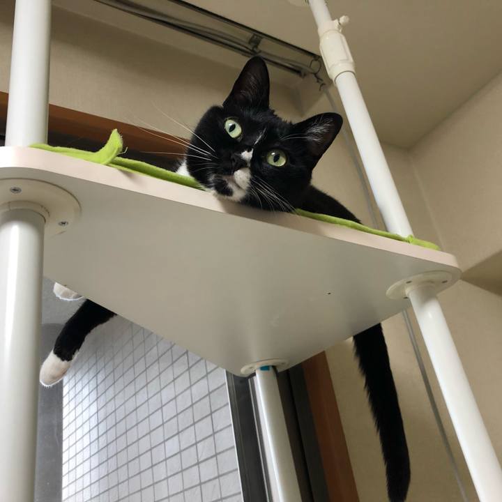 Dbc6719f f979 4b7d bbd3 0d664a1047a0 1560295102659