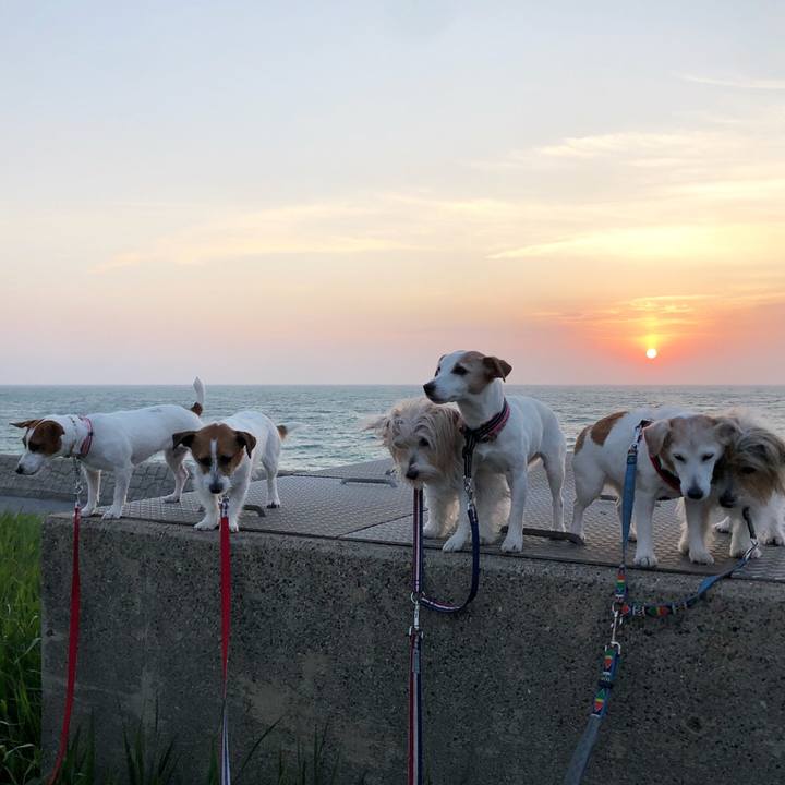 Dbc674d7 392e 48a0 baf0 1e37a39a4611 1525442278692