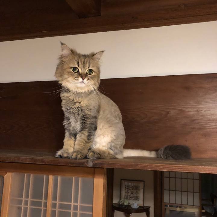 Dbc6ba0b b60e 42ac a9c3 bbb0115bb0fa 1561729745655