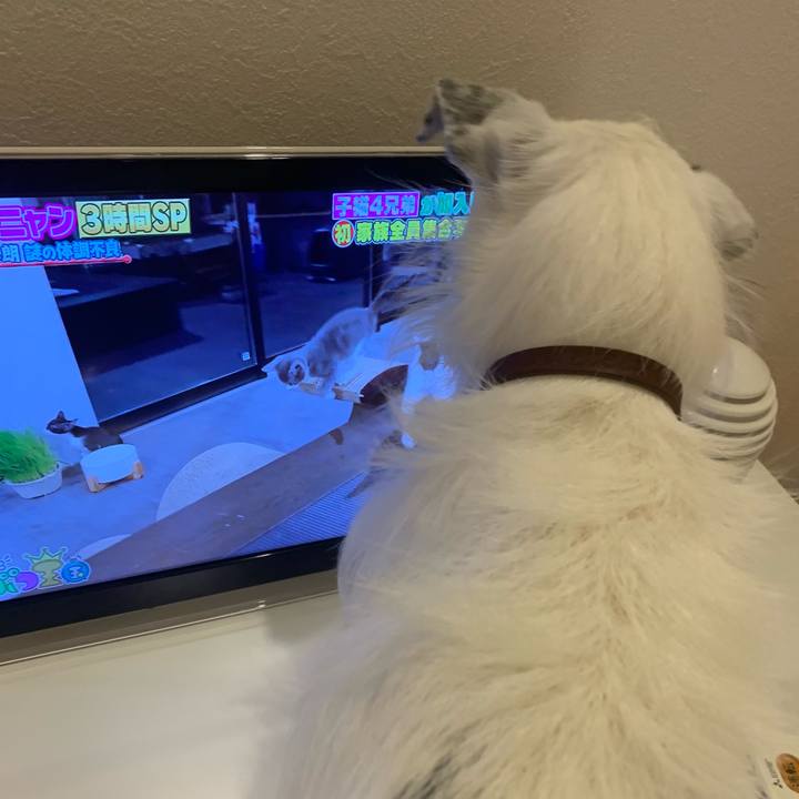 Dbc6c1e1 0a1d 4d2e a975 aa19e81b5454 1633690367688