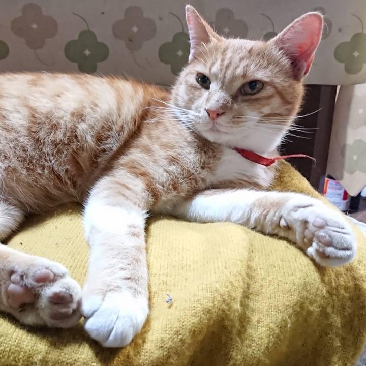 Dbc6db7b ed57 412b 92ee f378d429a74d 1570275070149