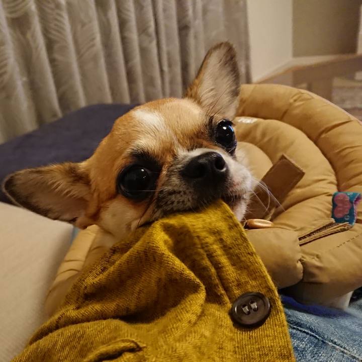 Dbc6e616 5319 49e9 9dd4 1c19c7e2151e 1539601928284