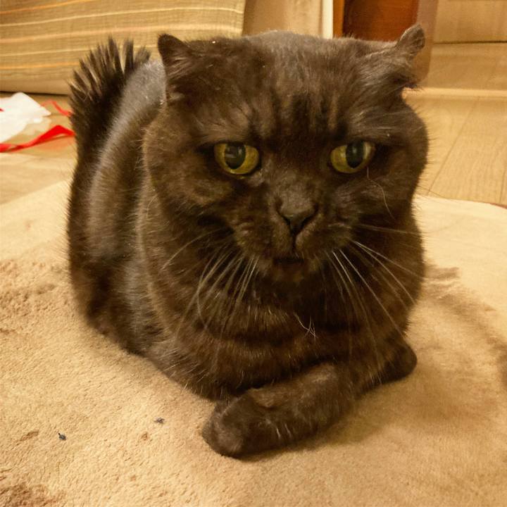 Dbc6f6c9 297c 441b a4ba 4fb797b840f8 1609607262105