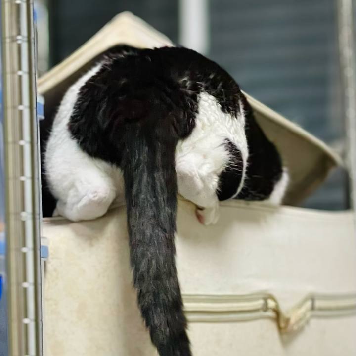 Dbc7204f 3c92 463e ab5e 2206cebed2d9 1650852611080