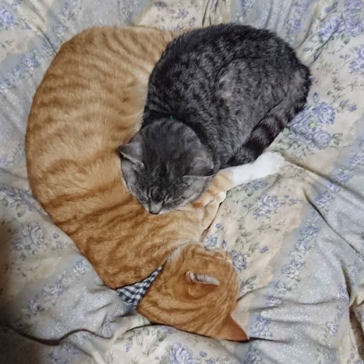 Dbc75ac9 03ec 43da 9229 2c951ed75409 1575893431567