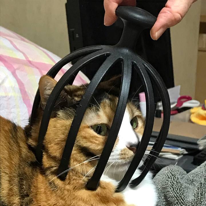 Dbc75f7a 0afb 4824 bf73 18d9d1f342ad 1547030016594