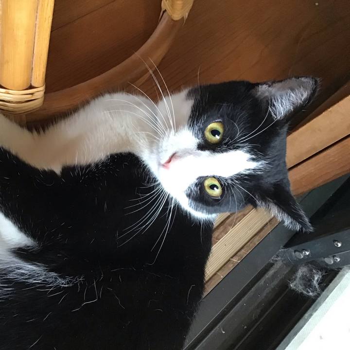 Dbc77154 3bb9 48b4 b791 e2acd632e91b 1659865819723