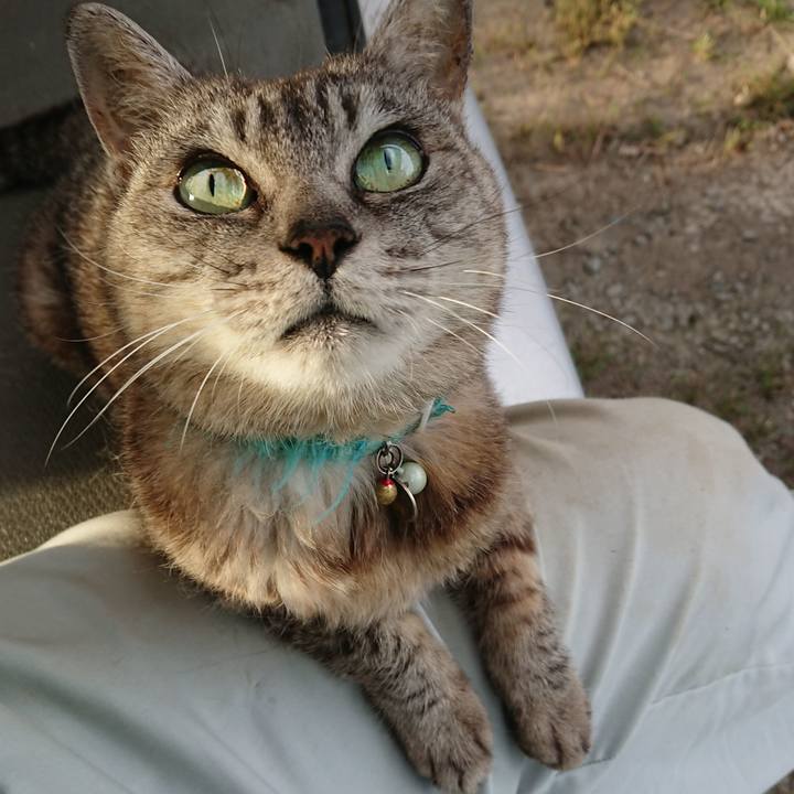 Dbc79124 7599 4b7b 9090 29df6306eddb 1568446545572