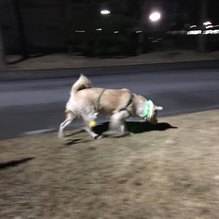 Dbc7cacc 1c24 4c5b a8fd be5a4099fde5 1516790470321