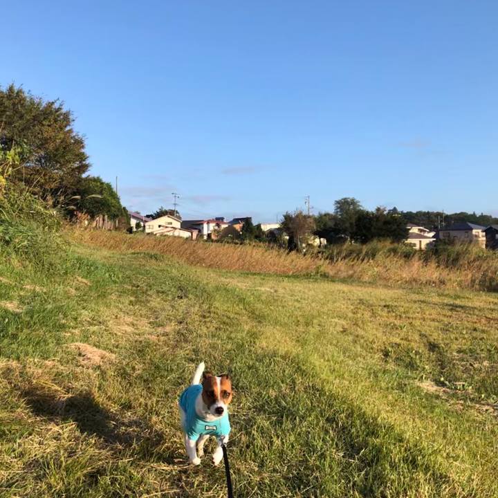 Dbc7e829 64bc 4a22 b4c0 46aacba1a512 1570963460697