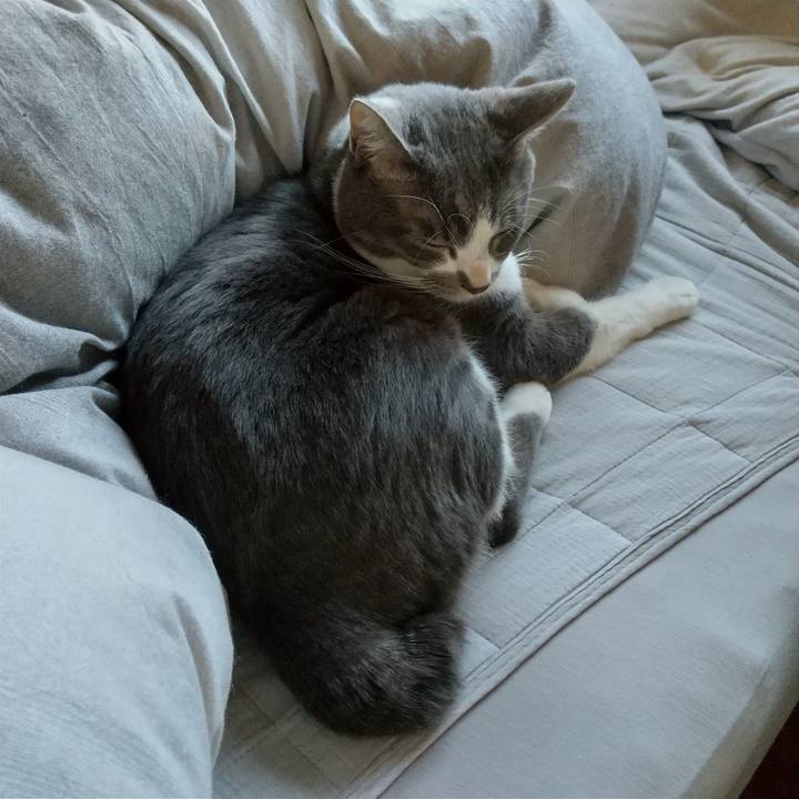 Dbc7f1ce 420c 4a20 b036 1749ae2e56ba 1639182488734