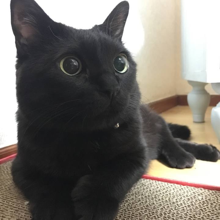 Dbc80aeb 910c 4113 a162 0d1a65579752 1509884722477