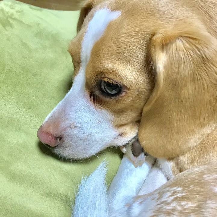 Dbc80cdb 1c43 4b99 a724 5c76c4440894 1556887752394