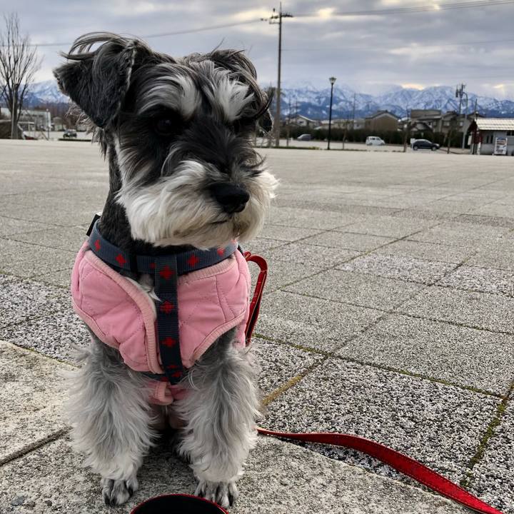 Dbc815c1 5ed5 40eb b7a9 9ff1b6c4d588 1674356950715