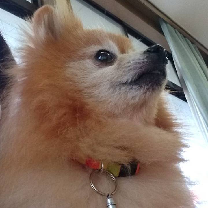 Dbc838ed 73a6 4d8a 9872 fa4b5e244205 1578528367593