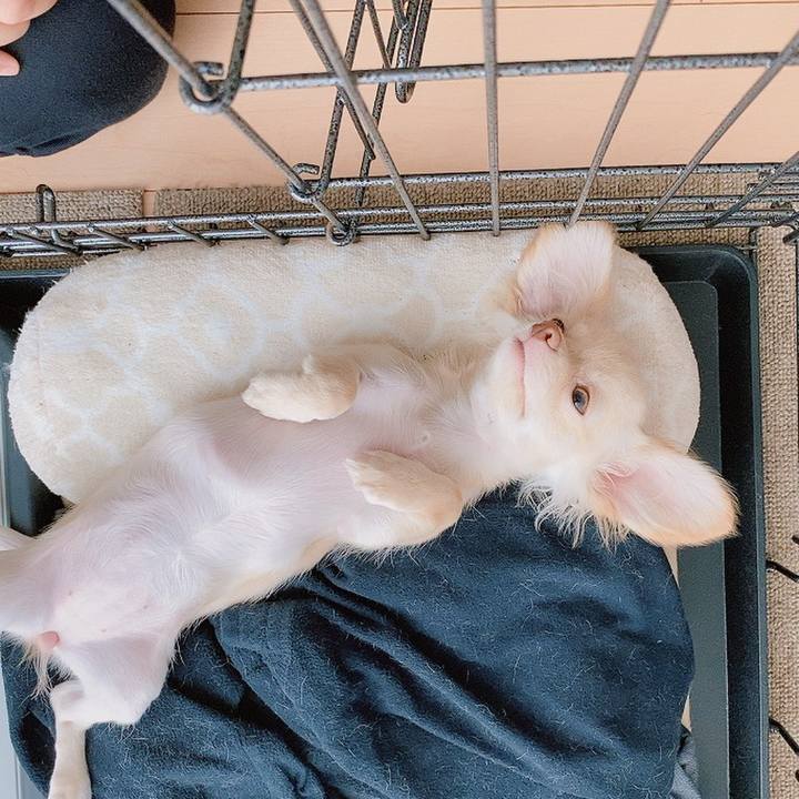 Dbc86571 4cf3 4a14 9967 c534462ef1dc 1592996136574