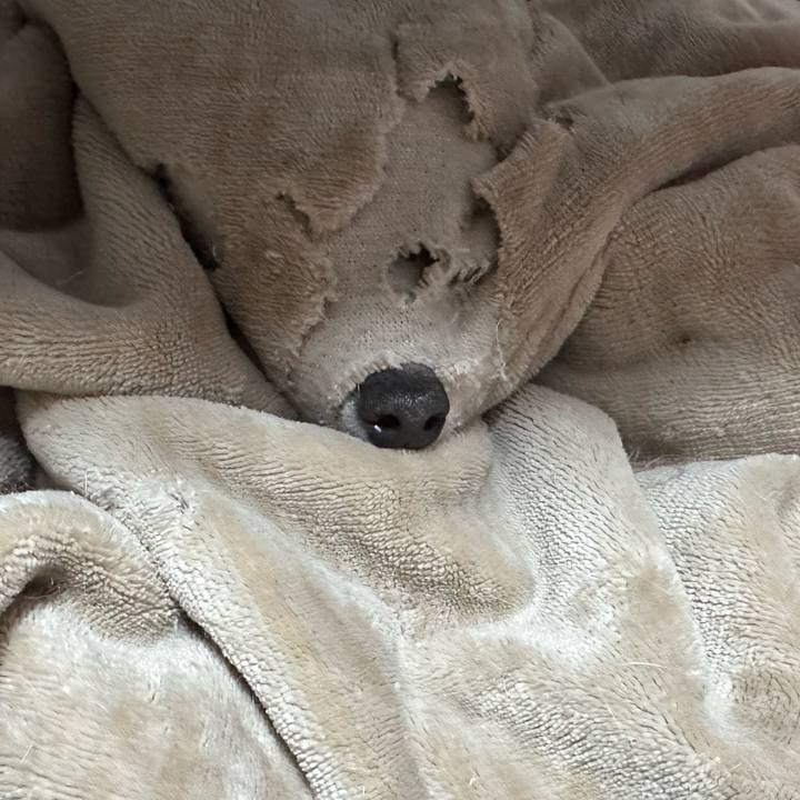 Dbc88ee5 8bb9 4e21 90d4 6641cc8eb85a 1707043386832