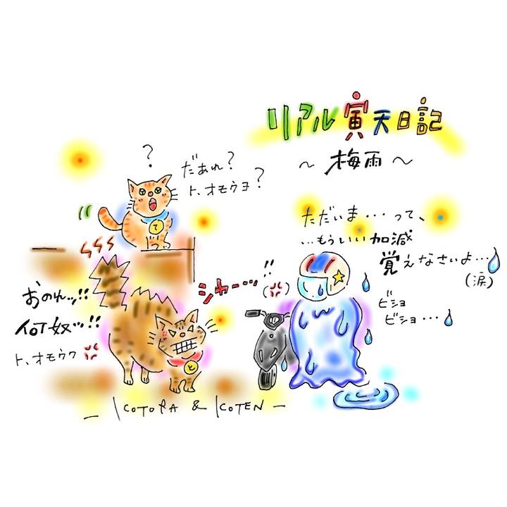 Dbc8f163 2fd4 4091 a761 416204b3d41f 1594651837841