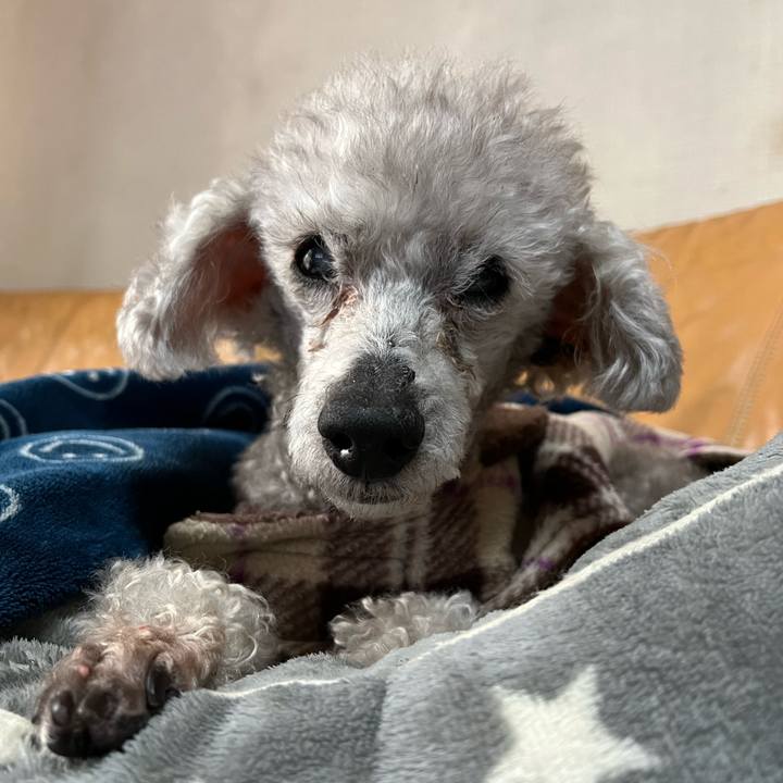 Dbc9080e 30bb 4a33 975e 3781891b2bca 1680692060224