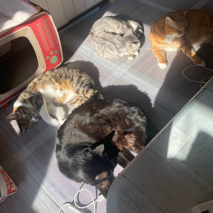 Dbc90b88 e3d7 4057 986a 79baec2531e9 1639530764062