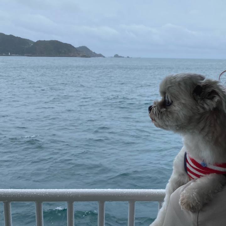 Dbc90c0c ed4a 46a3 b043 912dc76a29f6 1699593164102