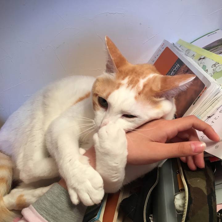 Dbc911eb 4617 4cb6 999e 44d7bcc680b3 1523282112912