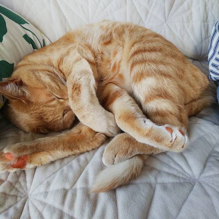 Dbc92e78 407c 4c14 8e54 8a17319e4915 1573281807254