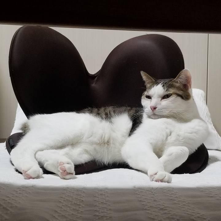 Dbc93a48 4752 4426 81f2 2091f5924692 1616929199215