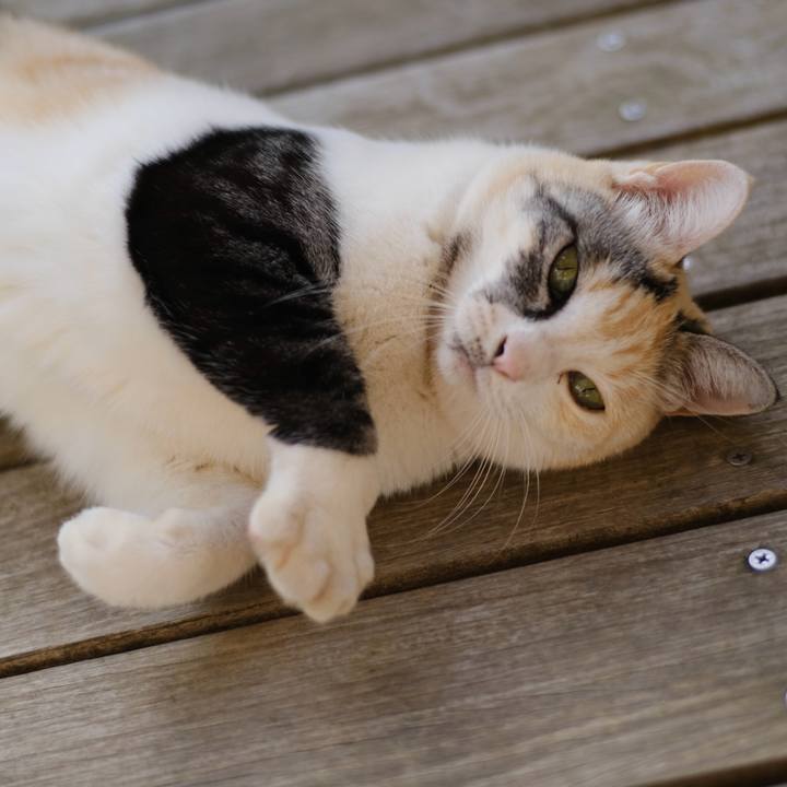 Dbc93c62 a25e 47b5 be60 ad8aae73010b 1697166767745