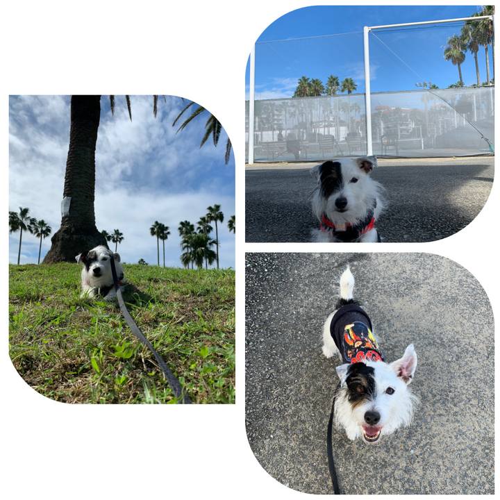 Dbc94071 4853 4a3a 89fc 0420e4a57ce1 1665799523623