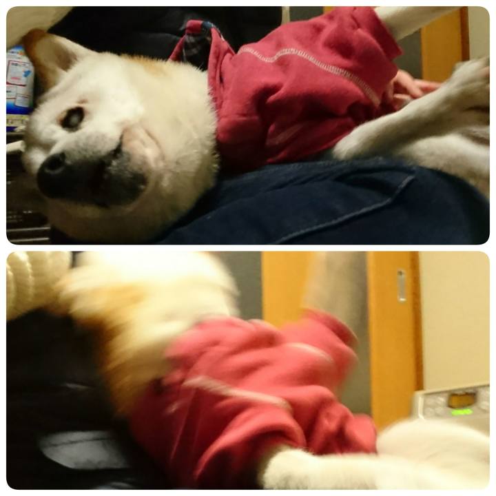 Dbc9670c a939 4ece 8197 57eb61e9bff7 1511611246642