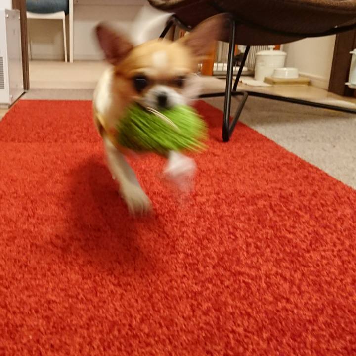 Dbc973ab 0619 413d ba29 9ad9c42813ad 1588032717186