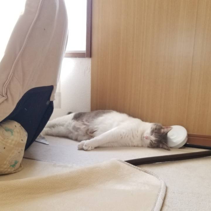 Dbc97d73 b52d 4b9d 877c 6f778eac60f9 1671077117666