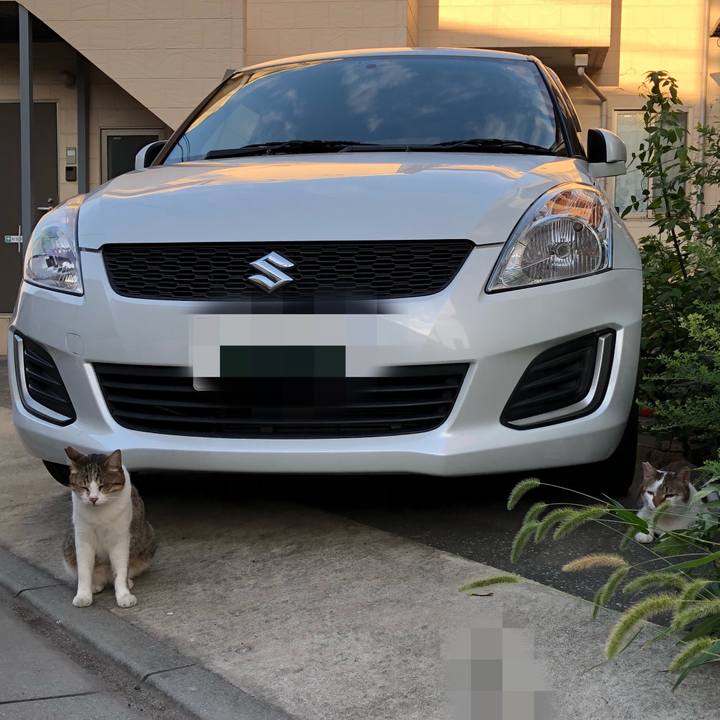 Dbc9b383 d2ed 4b79 9543 9c6ec33bacd2 1533846663464