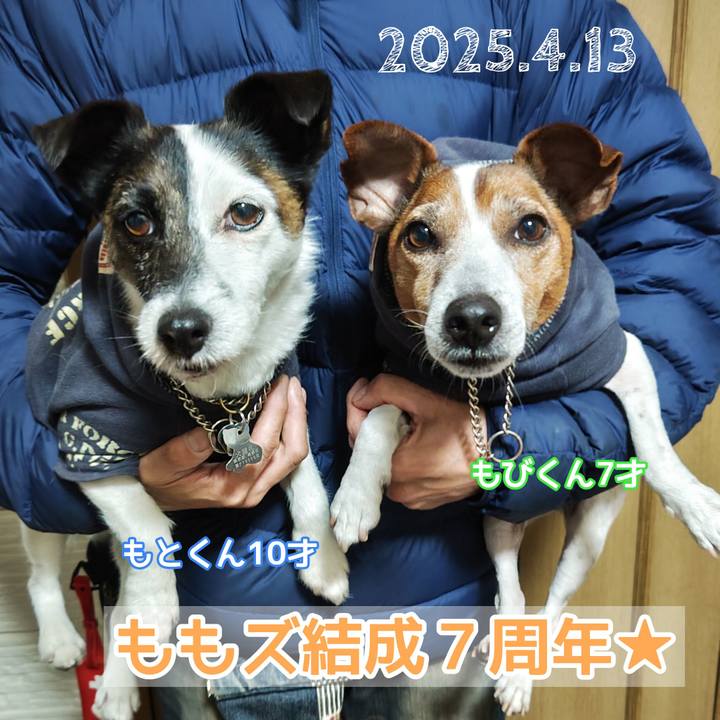 Dbca0a87 10b3 4560 a074 37ae9a140fa1 1744637025229