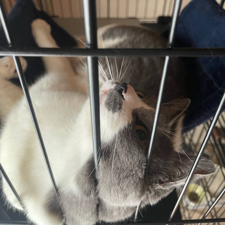 Dbca2394 ad57 4190 8b91 535d60a45773 1745531698387