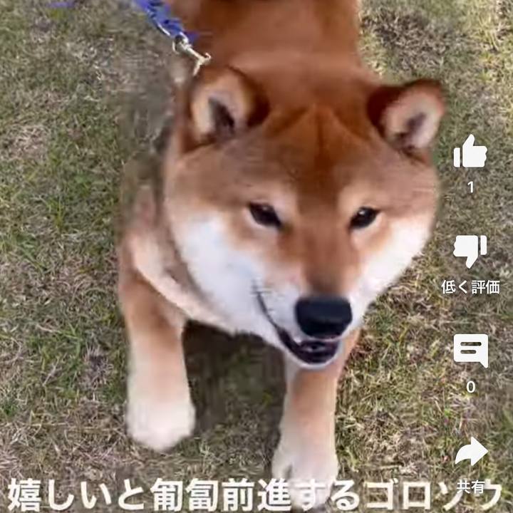 Dbca52e8 4da2 4e19 8873 ed3e623234b7 1681650415704