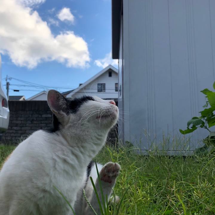 Dbca5f07 64f2 4502 a3e7 1bef53d06caa 1598394054371