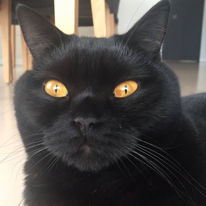 Dbca619a b86c 4c8d a9ec 54c083dc4c19 1546057253395