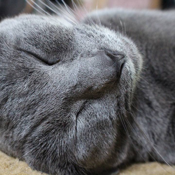 Dbca9654 cf41 4d85 b895 4bdf6bd2764a 1559351015827