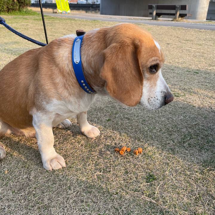 Dbcab332 5fc0 4aef 8701 290d63bd847e 1678713878864