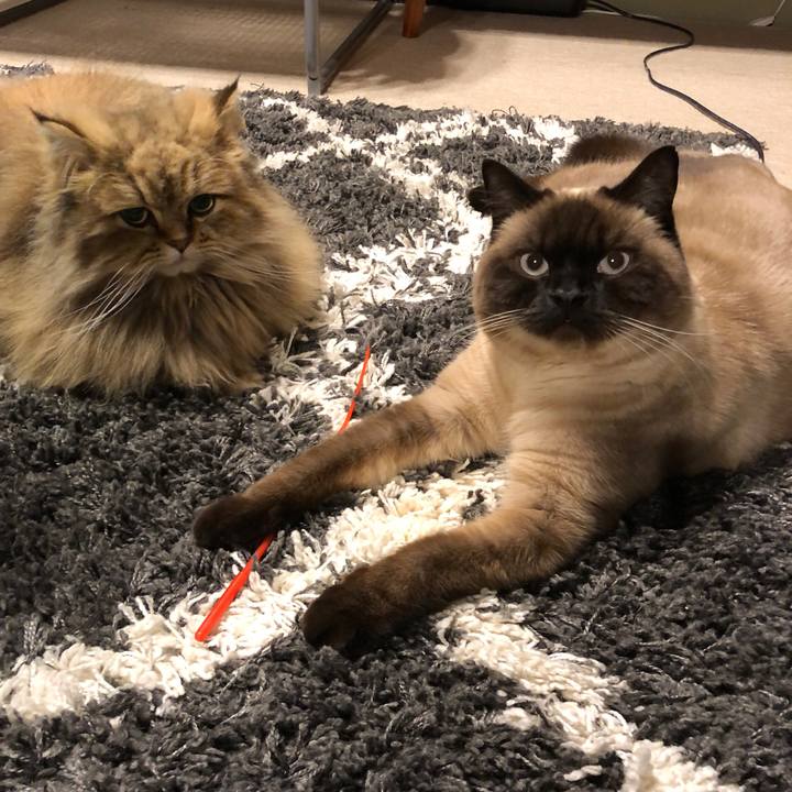 Dbcabace 0c9d 4f39 a7af 9fb78773bea7 1615677920986