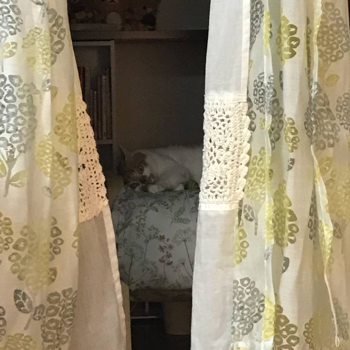 Dbcb0684 33d5 486a 98db 2fe7c1e7c677 1566729515765