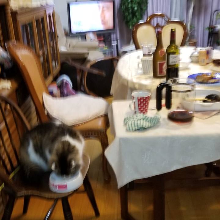 Dbcb1caa 3f29 48f4 9fd2 66318d8dbcd7 1551623409080