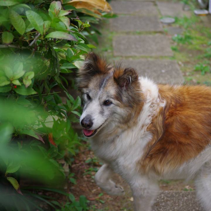 Dbcb3776 76ee 43a4 bcee b0bc71a8da65 1522911318871