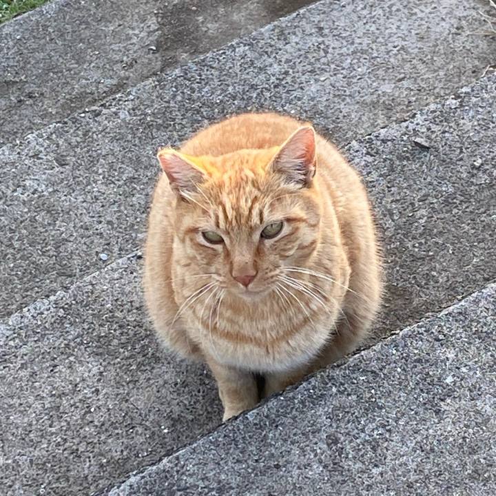 Dbcb578c a0e7 4539 b7ed 6d8e94c58d12 1679475252624