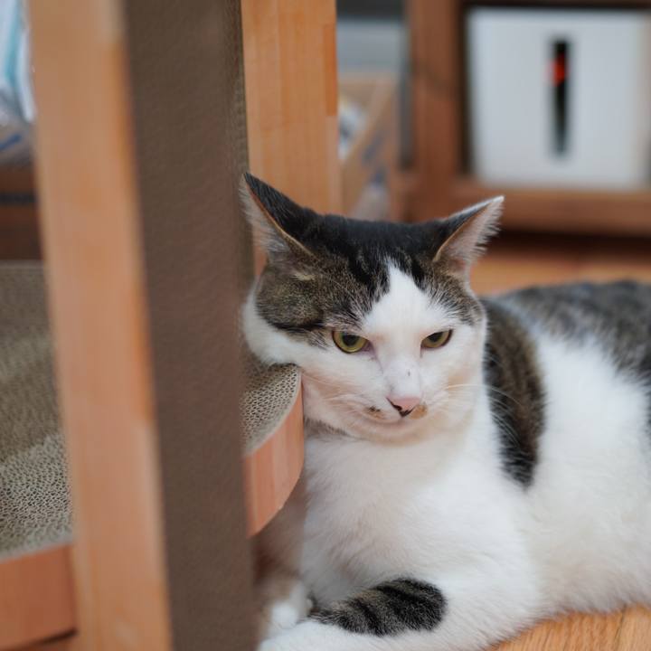 Dbcba151 00af 4828 98e6 ae8601d7b0ab 1624541383136