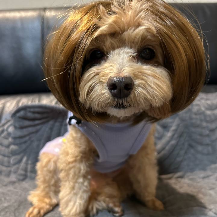 Dbcbe657 1664 441c bef0 ed77aa6e1072 1736260928569