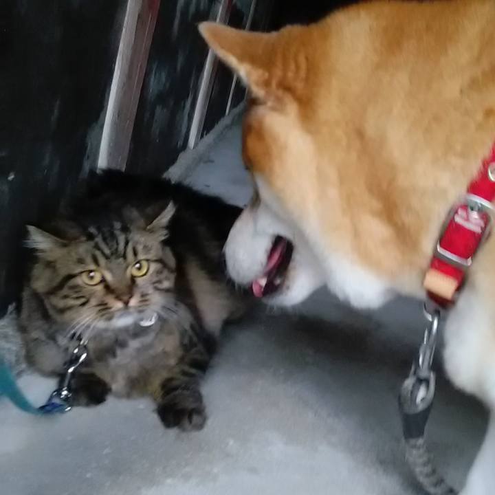 Dbcbf925 0d60 43a7 bb24 6a742129ab32 1601112258012